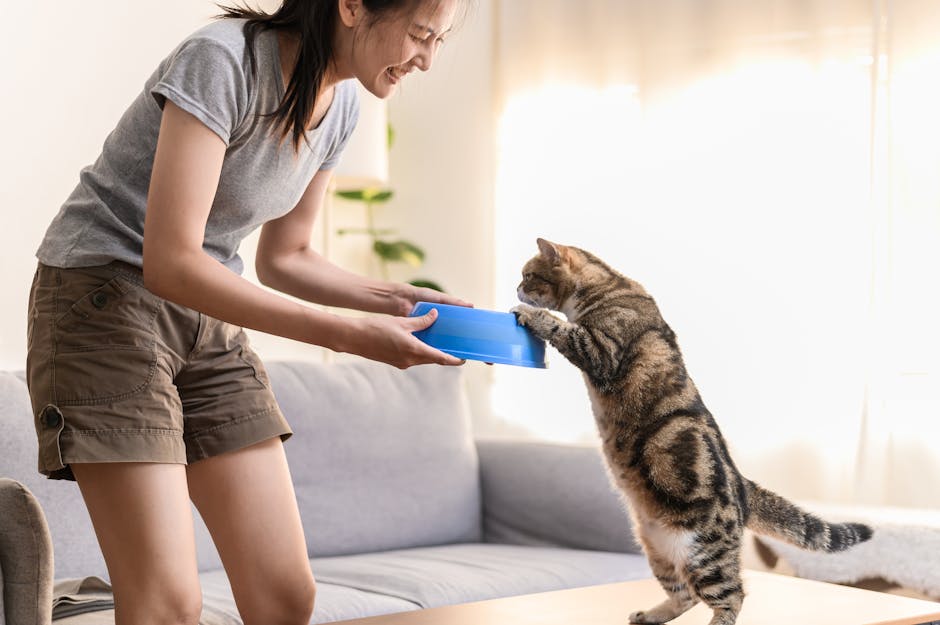 Expert Tips for Training Your Cat