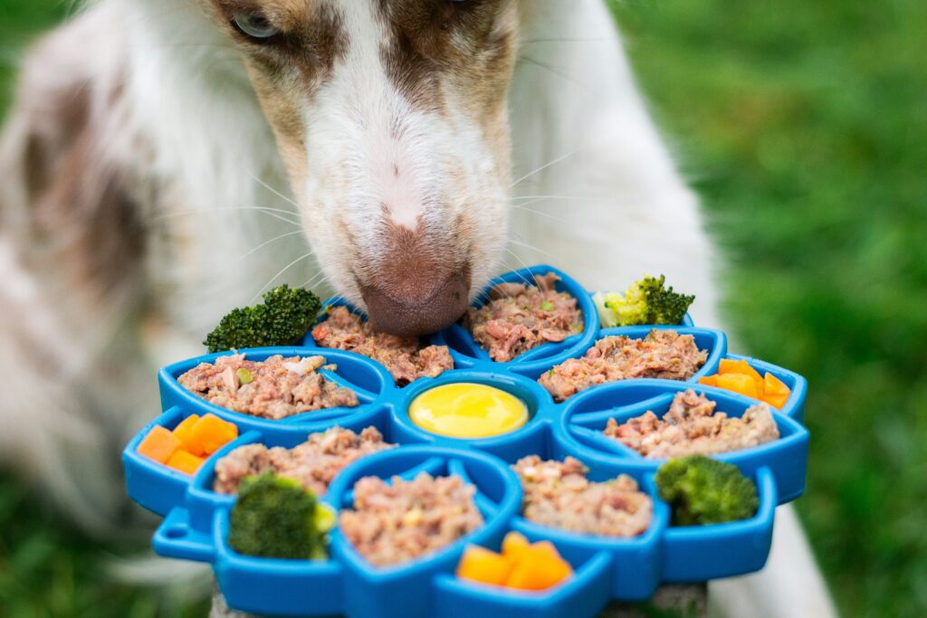 How to Make Homemade Pet Food Safely