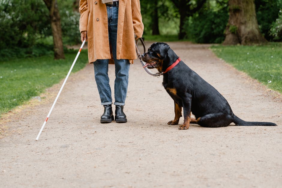 Pet Training Guides: Step-by-Step Techniques