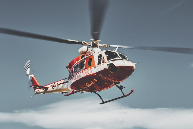 The Impact of Rescue Organizations on Animal Welfare