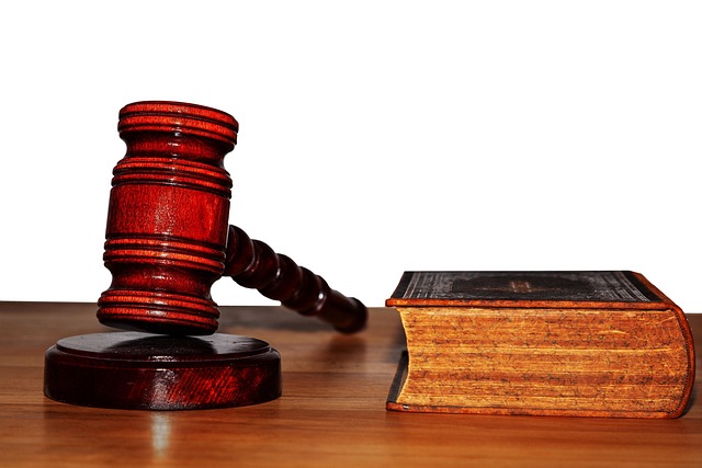 Understanding the Impact of New Pet Legislation in 2023