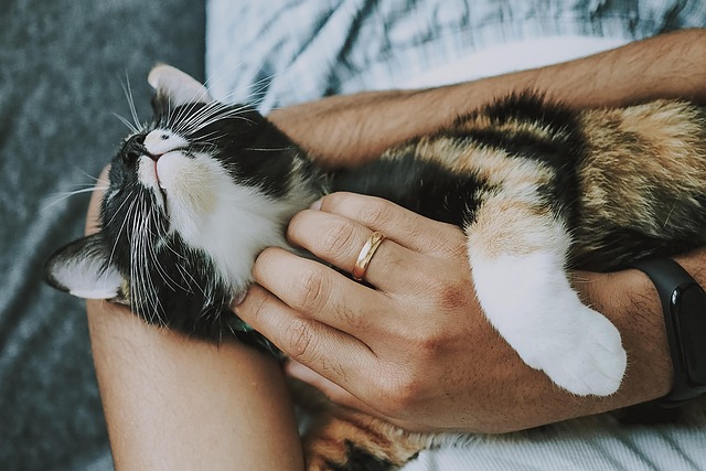 Weekly Pet Care News: Essential Updates for Pet Owners