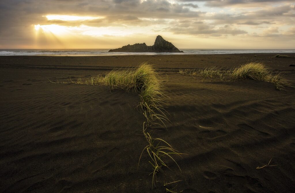 market gardening definition ap human geography