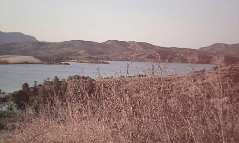 infoguide for birds llblogpet