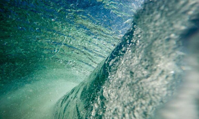 infoguide for cats llblogpet