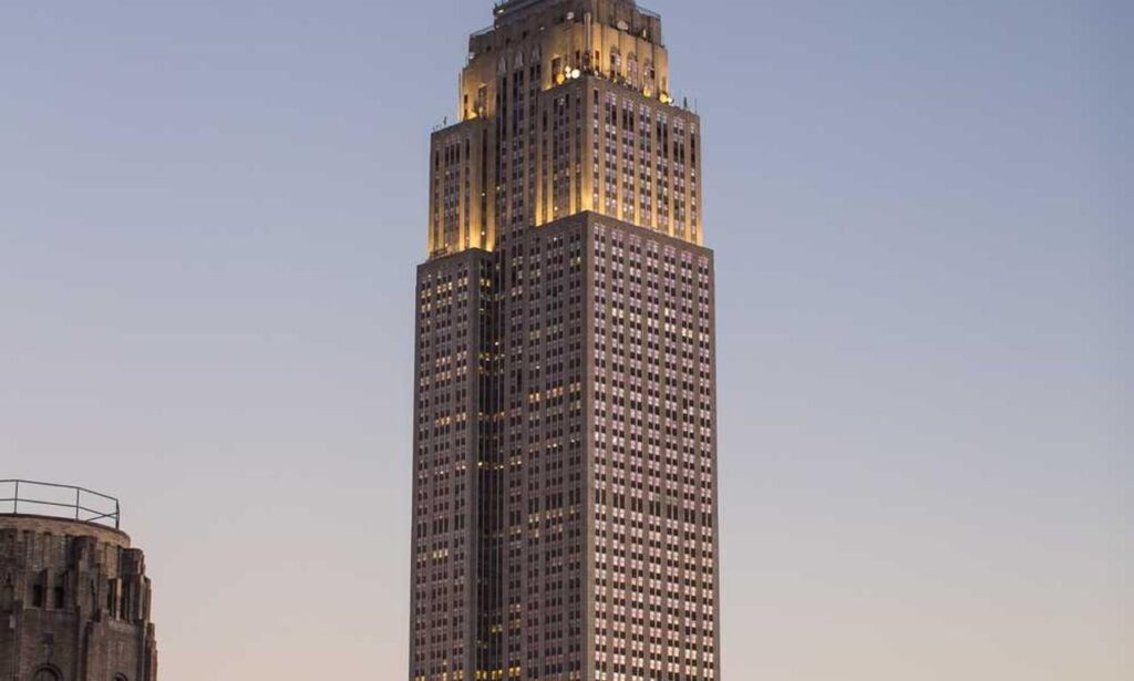 llblogpet advice for dogs by lovelolablog