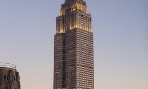 llblogpet advice for dogs by lovelolablog