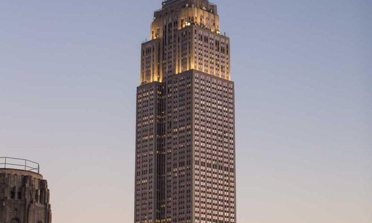 llblogpet advice for dogs by lovelolablog