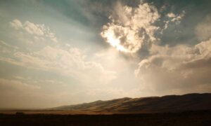 llblogpet advice for fish