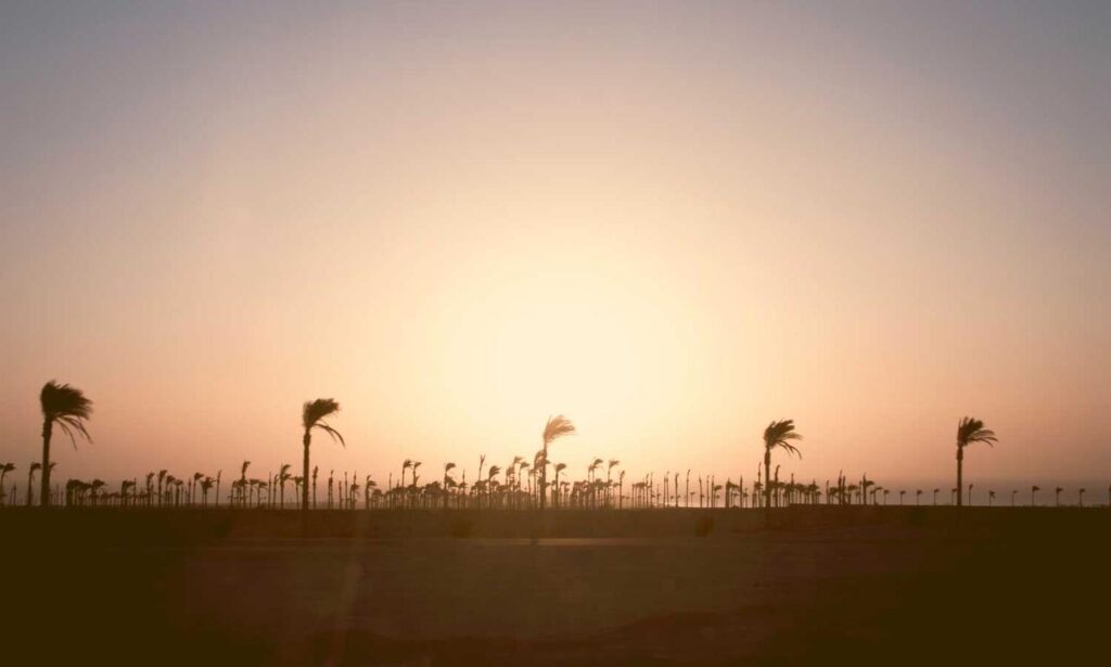 pet guide lwmfpets from lookwhatmomfound