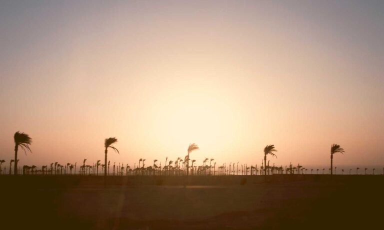 pet guide lwmfpets from lookwhatmomfound