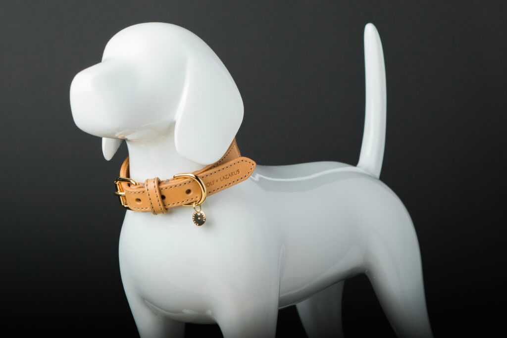 smart collar 1