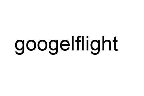 googelflight