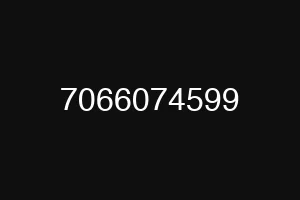 7066074599