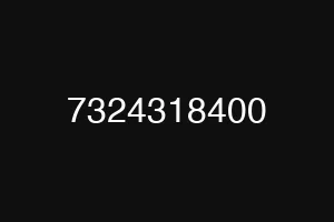 7324318400