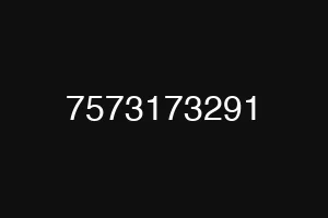 7573173291