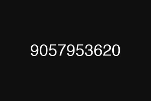 9057953620