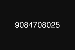 9084708025