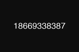 18669338387