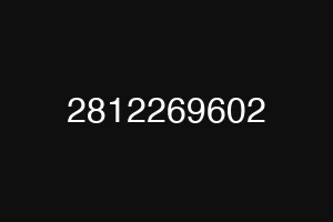 2812269602