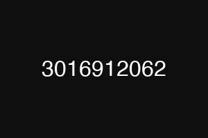 3016912062