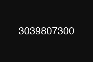 3039807300
