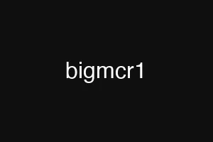 bigmcr1