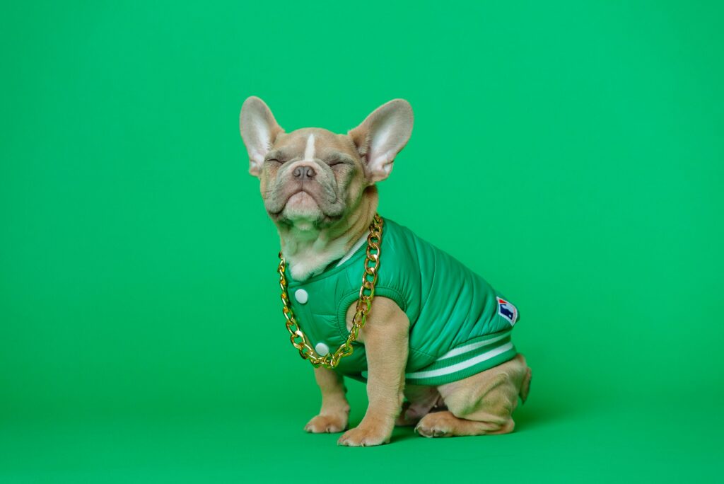 Sports Stars Famous Pet Friends